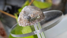Load image into Gallery viewer, 1.5" Green Tourmaline in Quartz Crystal Cluster
