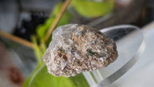 Load image into Gallery viewer, 1.5" Green Tourmaline in Quartz Crystal Cluster
