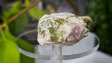 Load image into Gallery viewer, 2" Green Tourmaline in Quartz Crystal Cluster
