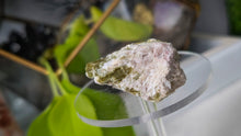 Load image into Gallery viewer, 2" Green Tourmaline in Quartz Crystal Cluster
