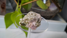 Load image into Gallery viewer, 2" Green Tourmaline in Quartz Crystal Cluster
