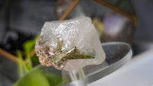 Load image into Gallery viewer, 1.5" Green Tourmaline in Quartz Crystal Cluster
