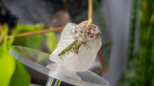 Load image into Gallery viewer, 1.5" Green Tourmaline in Quartz Crystal Cluster
