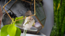 Load image into Gallery viewer, 1.5" Green Tourmaline in Quartz Crystal Cluster
