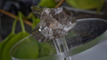 Load image into Gallery viewer, 1.5" Smokey Quartz Crystal Cluster
