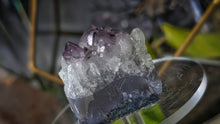 Load image into Gallery viewer, 1.5" Amethyst &amp; Blue Agate Crystal Cluster
