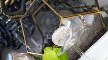 Load image into Gallery viewer, 2" Rose &amp; Clear Quartz Crystal Palmstone
