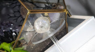 1.5