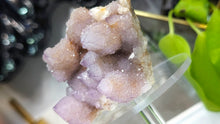 Load image into Gallery viewer, 3" Ametrine Spirit Cactus Quartz Crystal Cluster
