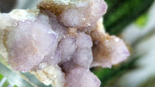 Load image into Gallery viewer, 3" Ametrine Spirit Cactus Quartz Crystal Cluster
