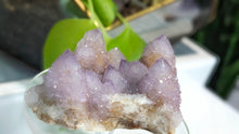 Load image into Gallery viewer, 3" Ametrine Spirit Cactus Quartz Crystal Cluster
