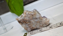 Load image into Gallery viewer, 3" Ametrine Spirit Cactus Quartz Crystal Cluster
