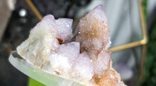 Load image into Gallery viewer, 2.5" Ametrine Spirit Cactus Quartz Crystal Cluster
