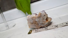Load image into Gallery viewer, 2.5" Ametrine Spirit Cactus Quartz Crystal Cluster
