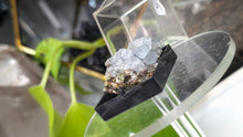 Load image into Gallery viewer, 1.5" Rare Bulgarian Celestite Pyrite Crystal
