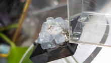 Load image into Gallery viewer, 1.5" Rare Bulgarian Celestite Pyrite Crystal
