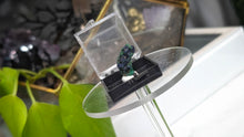 Load image into Gallery viewer, 1" Mini Azurite &amp; Malachite in Display Case
