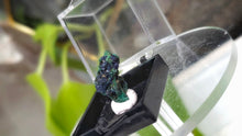 Load image into Gallery viewer, 1" Mini Azurite &amp; Malachite in Display Case
