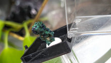 Load image into Gallery viewer, 1" Mini Azurite &amp; Malachite in Display Case
