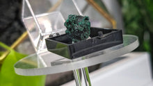 Load image into Gallery viewer, 1" Mini Congo Malachite in Display Case
