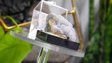 Load image into Gallery viewer, 1" Botryoidal Purple Fluorite Crystal in Display Case

