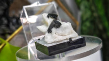 Load image into Gallery viewer, 1.5" Staknala Tourmaline in Display Case
