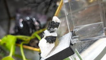 Load image into Gallery viewer, 1.5" Staknala Tourmaline in Display Case

