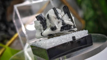 Load image into Gallery viewer, 1.5" Staknala Tourmaline in Display Case
