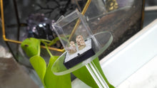 Load image into Gallery viewer, 1" Utah Mountain Topaz Pair in Case
