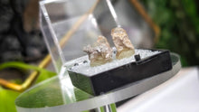 Load image into Gallery viewer, 1" Utah Mountain Topaz Pair in Case
