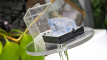 Load image into Gallery viewer, 1" Rare Blue Halite Crystal in Display Case

