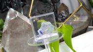 Rare Blue Halite Crystal in Display Case