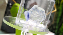 Load image into Gallery viewer, Rare Blue Halite Crystal in Display Case
