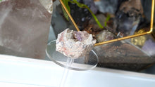 Load image into Gallery viewer, 2.5" Amethyst in the Matrix Crystal Cluster
