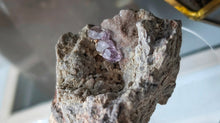 Load image into Gallery viewer, 2.5" Amethyst in the Matrix Crystal Cluster
