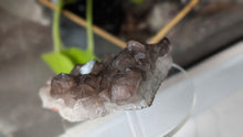 Load image into Gallery viewer, 3.5" Thunder Bay Smokey Amethyst Crystal
