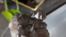 Load image into Gallery viewer, 3.5" Thunder Bay Smokey Amethyst Crystal
