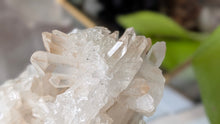 Load image into Gallery viewer, 4" Clear &amp; Smokey Quartz Crystal Cluster
