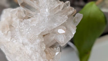 Load image into Gallery viewer, 4" Clear &amp; Smokey Quartz Crystal Cluster
