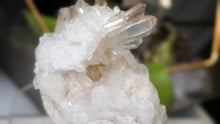 Load image into Gallery viewer, 4" Clear &amp; Smokey Quartz Crystal Cluster
