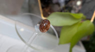Lodolite Garden Quartz Crystal Adjustable Ring