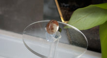 Load image into Gallery viewer, Lodolite Garden Quartz Crystal Adjustable Ring
