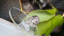Load image into Gallery viewer, Faceted Amethyst Sterling Silver Ring w/Stand sz7.5
