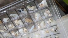 Load image into Gallery viewer, Opalized Wood in Case from Virgin Valley, Arizona
