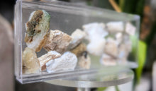 Load image into Gallery viewer, Opalized Wood in Case from Virgin Valley, Arizona
