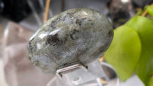 Load image into Gallery viewer, 3" Labradorite Crystal Palmstone (stand not Included)
