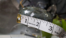 Load image into Gallery viewer, 3" Labradorite Crystal Palmstone (stand not Included)
