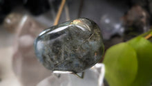 Load image into Gallery viewer, 2.5" Labradorite Crystal Palmstone (stand not Included)
