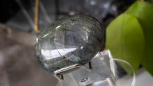 Load image into Gallery viewer, 2.5" Labradorite Crystal Palmstone (stand not Included)
