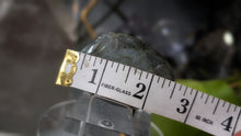 Load image into Gallery viewer, 2.5" Labradorite Crystal Palmstone (stand not Included)
